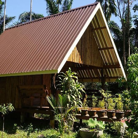 Khao Sok Jungle Resort Khao Sok National Park Quarto foto